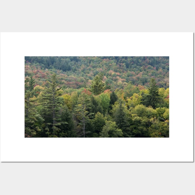 Autumn in the Adirondack Mountains!! Wall Art by nancy.hajjar@yahoo.com